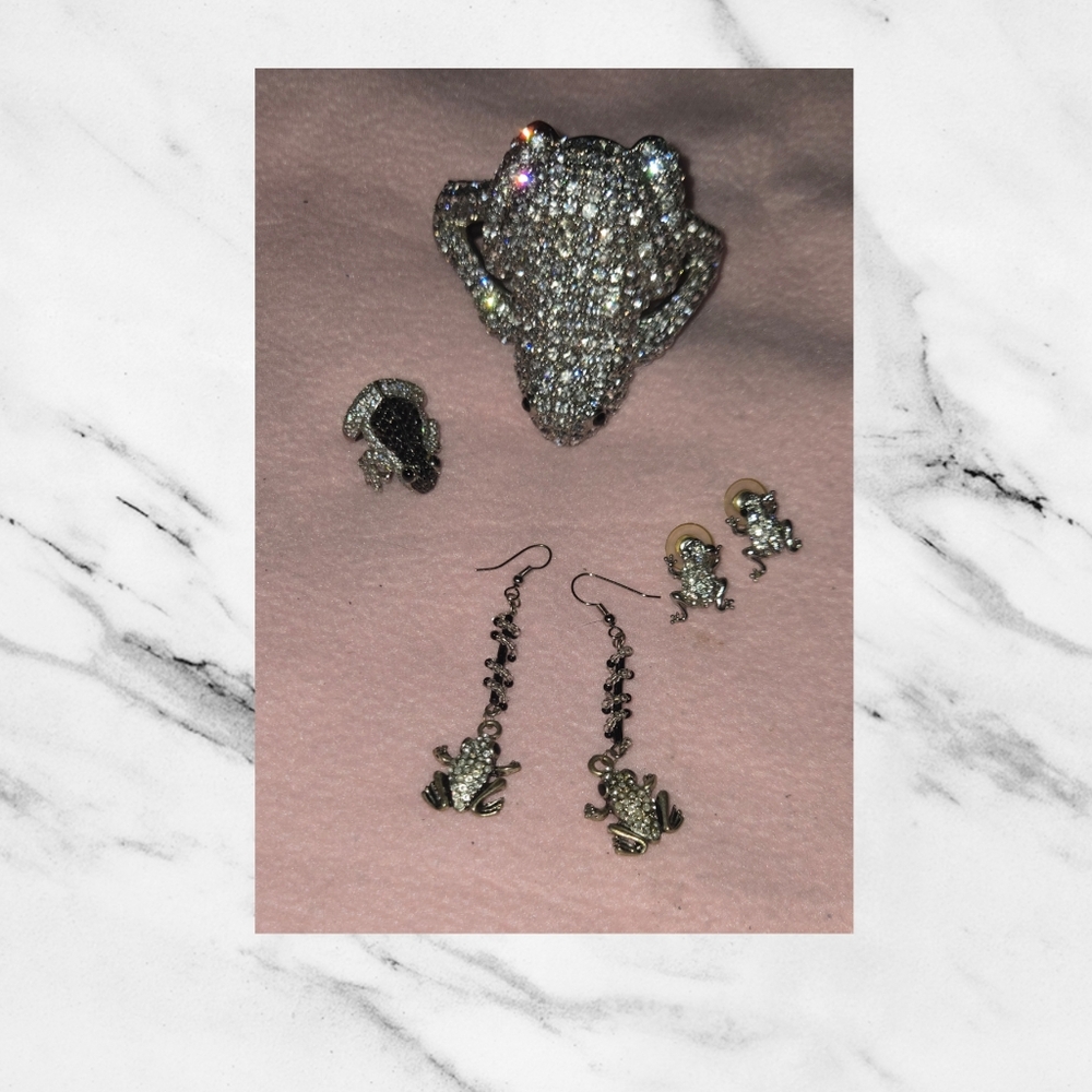 ❤️ Elegant Silver Frog Jewelry Set